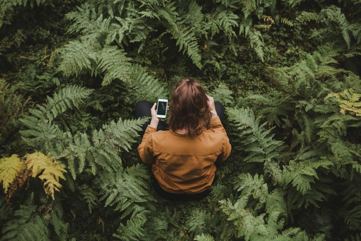 Digital Detox: Die neue Therapie gegen Bildschirmstress in deutschen Haushalten